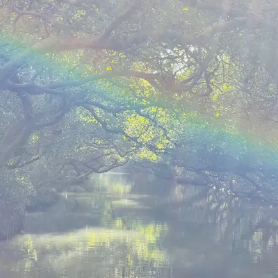 小語的種子.療癒時光的沙龍