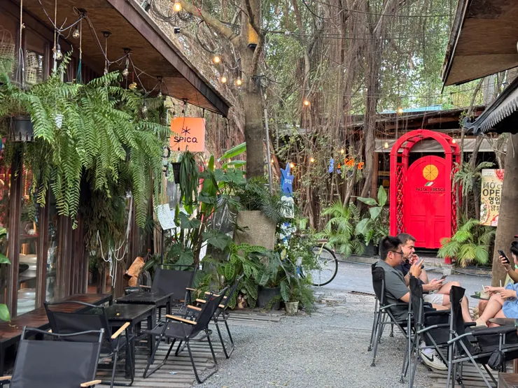 巷弄深處的咖啡廳