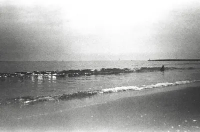 青春博客來：清晨的白色烏鴉