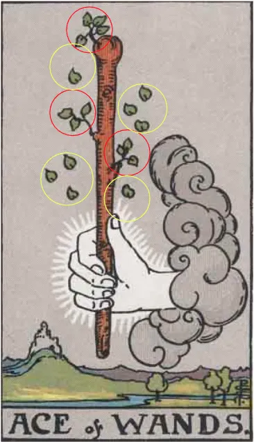 權杖王牌上的Yod