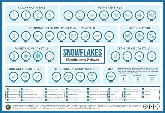 REF: https://news.cnyes.com/news/id/205176，描述被分類的雪花種類
