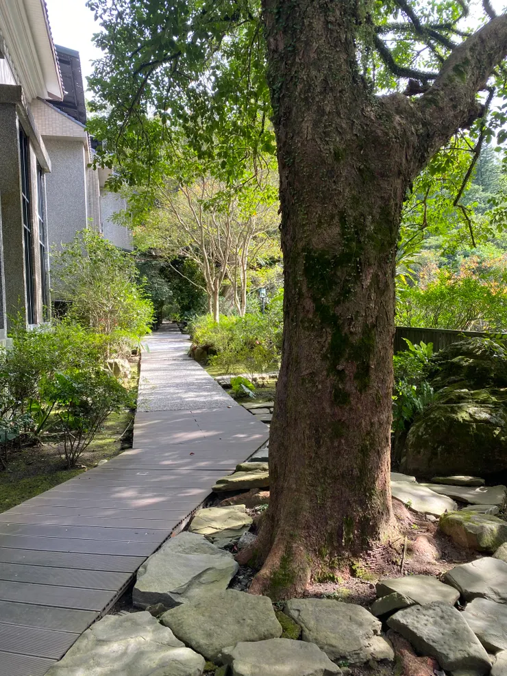 我很喜歡的綠蔭造景