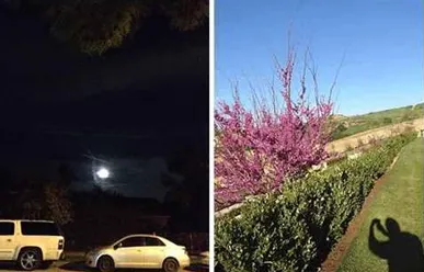 The picture on the left side was taken while the author was on the road in front of the temple, showing auspicious clouds and the Moon with a Vajra stick crossing it. The picture on the right side shows the spot right above the holy place where the holy body of Yin Hai Yu Zun is worshipped. This red-flower tree that should have withered for the season is still showing abundant signs of life and is greatly different from other red-flower trees planted by the same space between them.