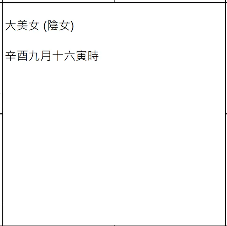 圖4. 紫微斗數盤中央的訊息