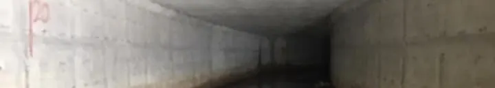 Sarra oa od Magcha的沙龍