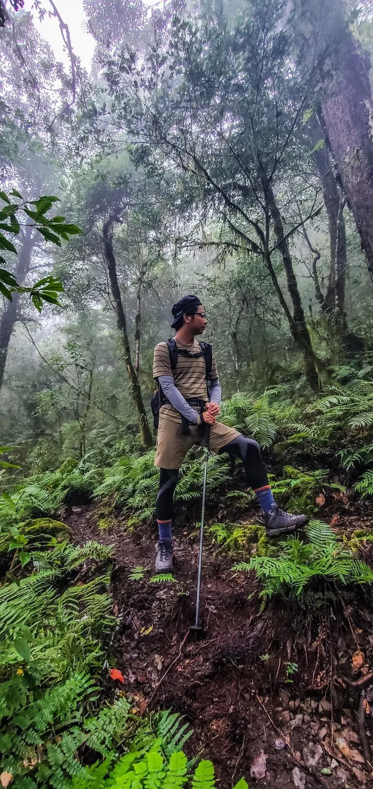 太太～～快要下雨了！不要再拍香菇了哦！！