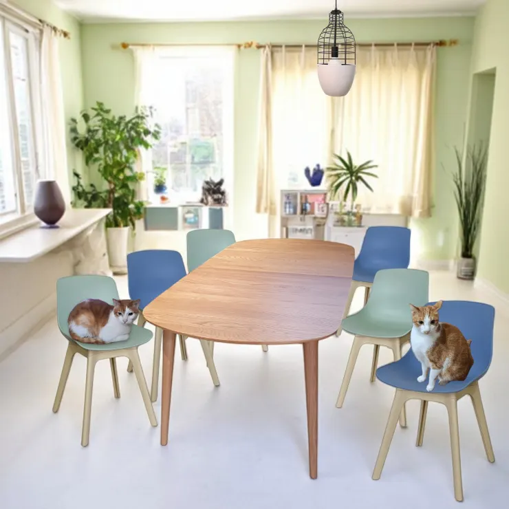 耐用好清潔全塑料餐椅