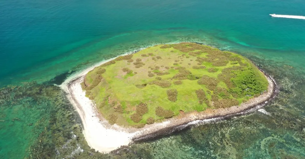 阿祥的誰來晚餐