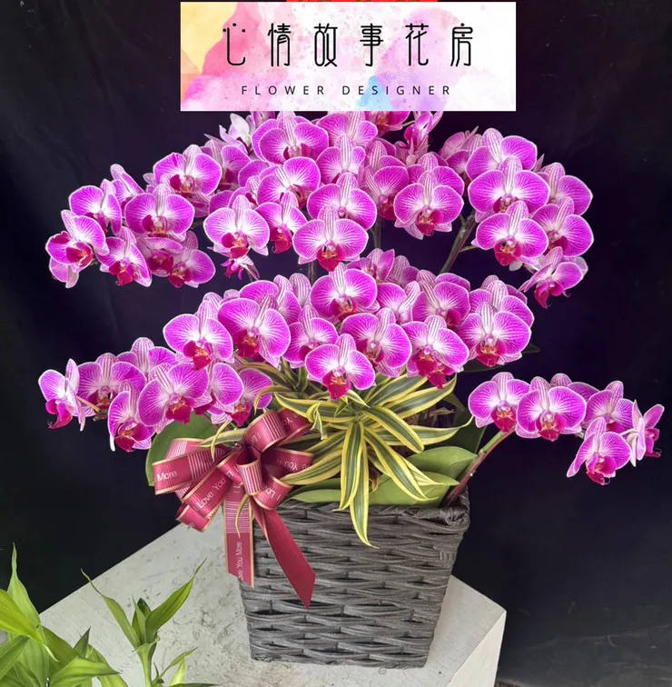 台南花店 心情故事花房 台南送花 台南蘭花專賣 台南盆栽推薦 台南花卉批發 台南企業花藝供應 台南醫院花束 台南花藝設計 快速送花服務 台南花藝推薦 優質花店服務 台南便宜花店 花卉配送台南 台南花店推薦 台南鮮花速遞 台南企業指定花店 台南花店電話 花藝佈置台南 台南機關指定花店