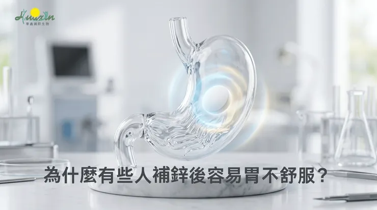 補鋅後若常感到反胃或不適，原因可能與空腹食用、單次劑量或原料型態有關，未必是你不適合補鋅