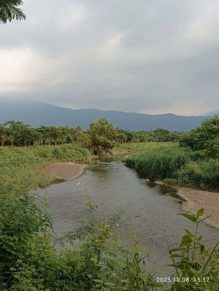 盡意依隨如鷺鷥飛過