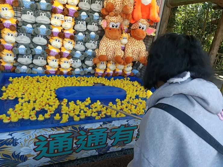 紅鶴就是玩這個遊戲來的,玩一次200元,不管怎樣,一定會有一個小娃娃可以拿