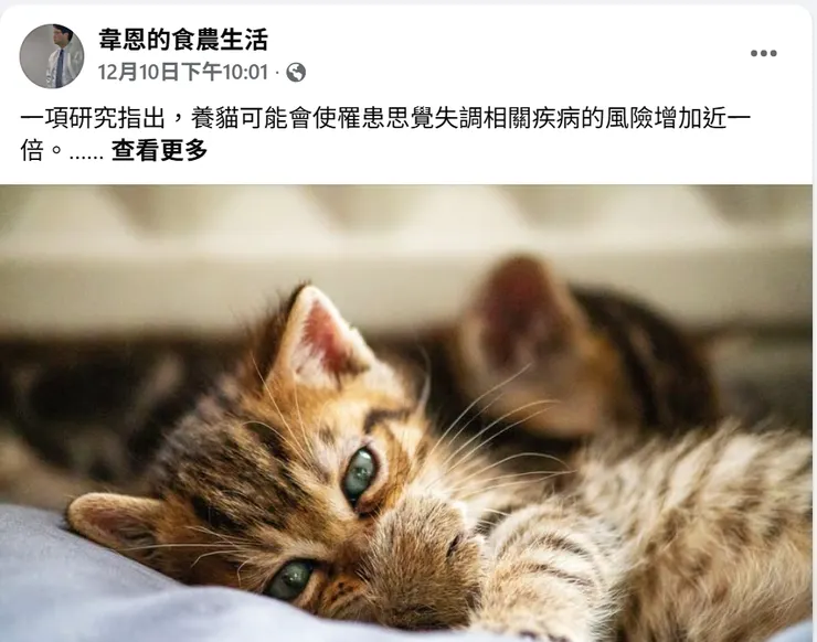 圖片擷取自臉書。