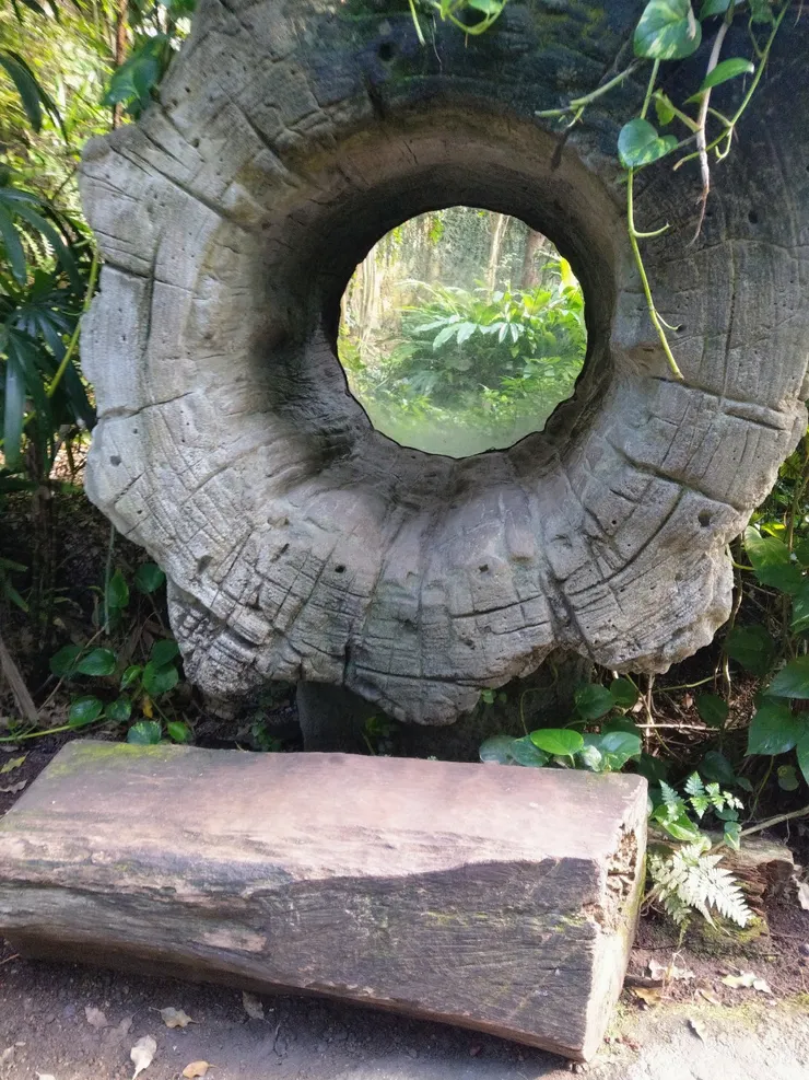 假樹洞，可以體驗把頭伸進去觀察