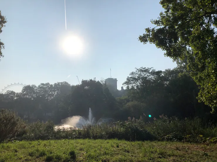 the Swire Fountain（噴泉）往水裡充氧及提高水質