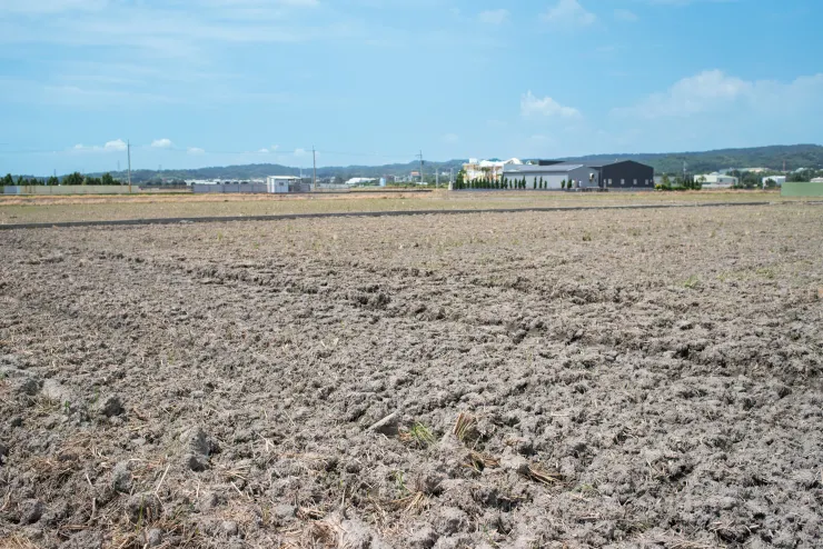 照片由李彥澍提供