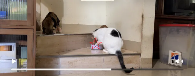 牛仔：這是我的飯飯！