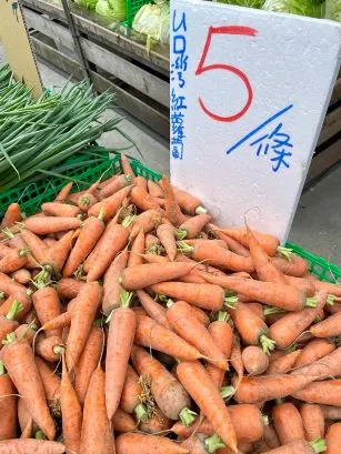 看似纖細實則風味十足的紅蘿蔔