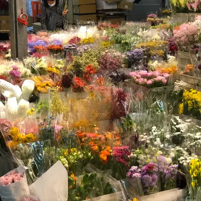 晝書的畫畫帳號