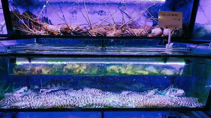 林口海鮮餐廳【拿靠生猛海鮮】媲美海港級料理，節慶聚會推薦餐廳