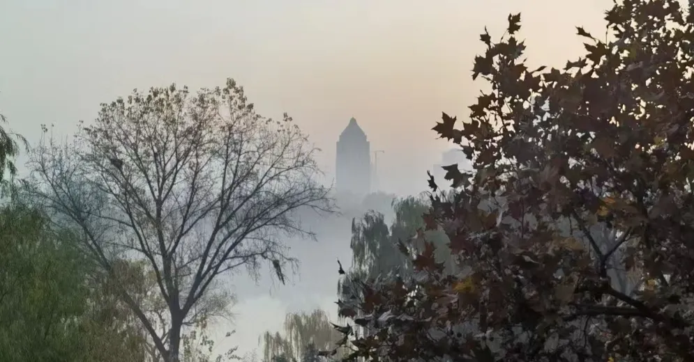 Jean Lu的法律沙龍