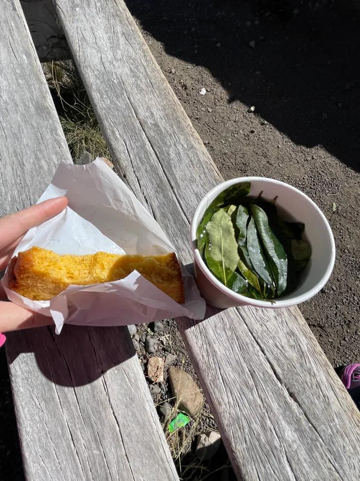 停在迷你休息站休息