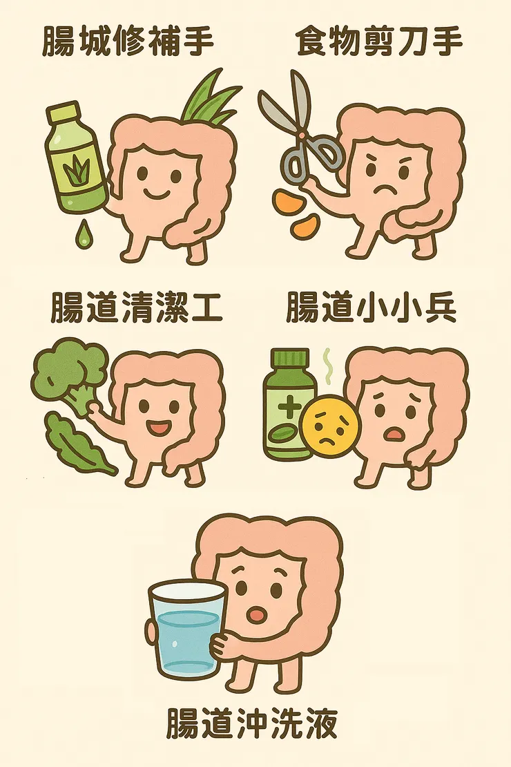 腸道健康秘密5器