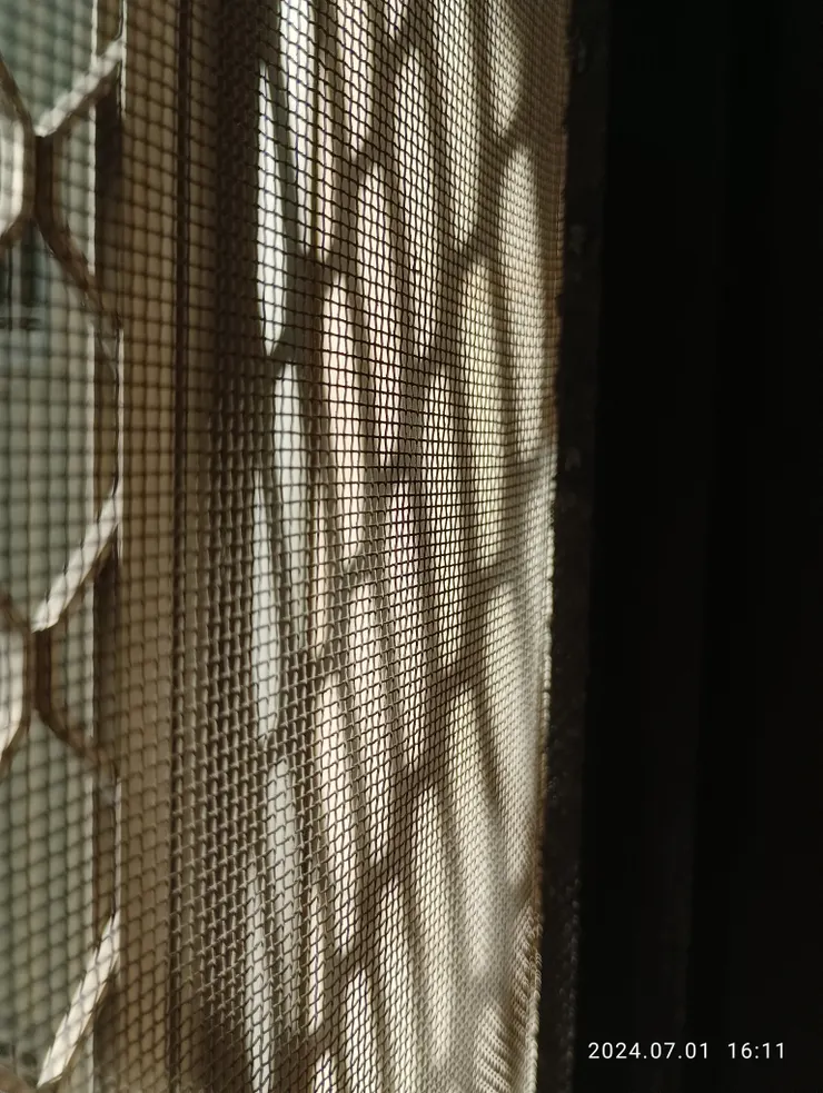 書房的格窗映影，自拍攝