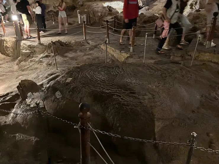 烏龜。看起來應該很多人丟錢許願 (Sky 指給我們看的)