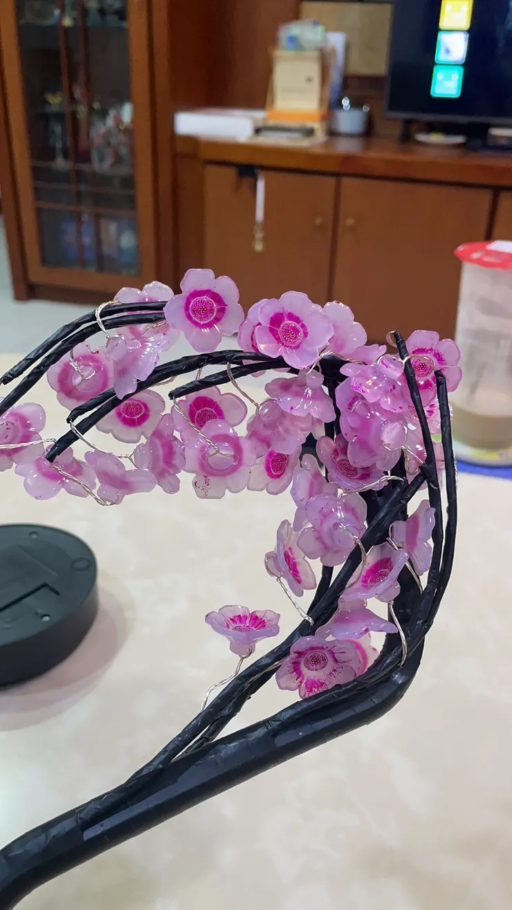 一開始的樣子，盒子壞了