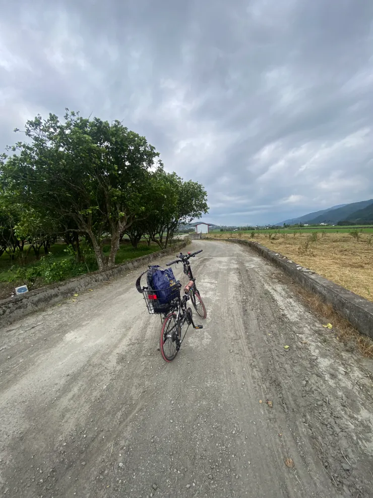 被花嘴鴨襲擊之地