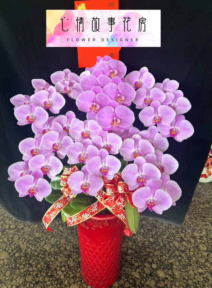 台南花店 心情故事花房 台南送花 台南蘭花專賣 台南盆栽推薦 台南花卉批發 台南企業花藝供應 台南醫院花束 台南花藝設計 快速送花服務 台南花藝推薦 優質花店服務 台南便宜花店 花卉配送台南 台南花店推薦 台南鮮花速遞 台南企業指定花店 台南花店電話 花藝佈置台南 台南機關指定花店