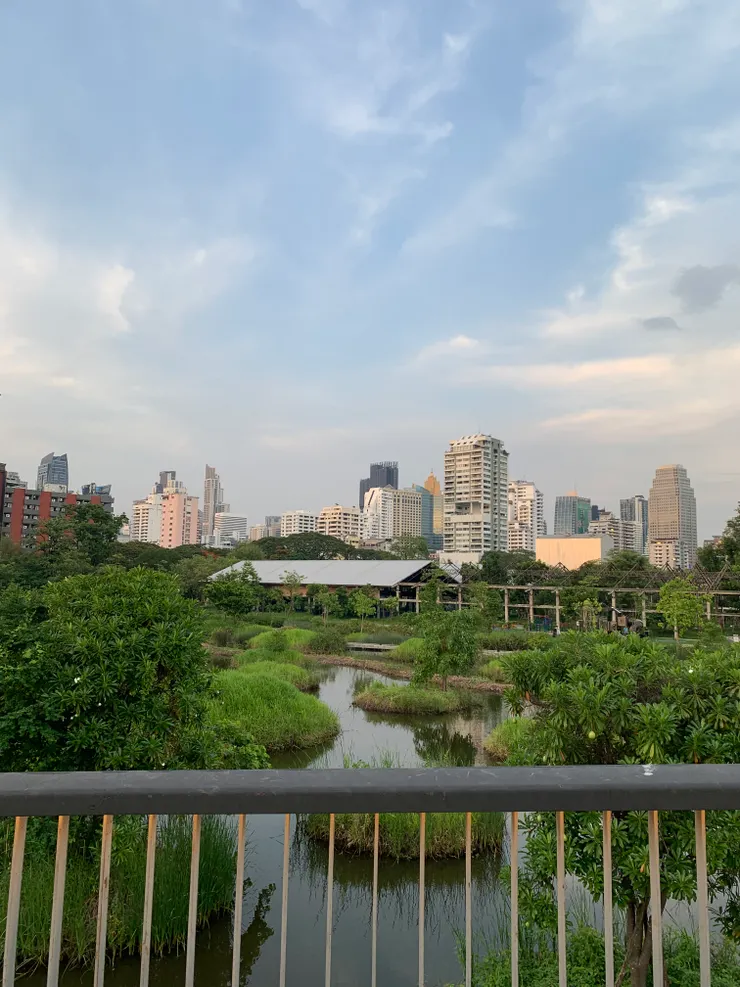 在空中步道遠眺公園和遠方的城市天際線