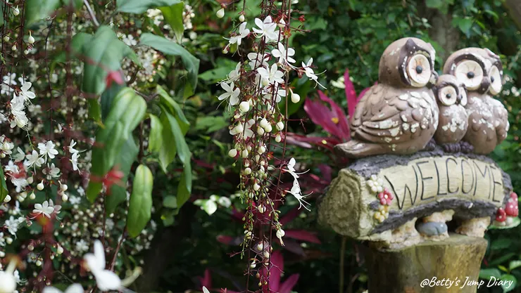 ▲桃園楊梅「雅聞魅力博覽館」/圖片來源:Betty's Jump Diary