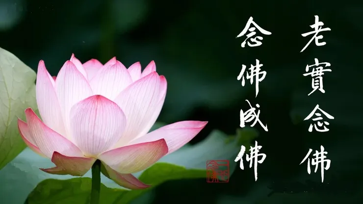 專心持念「阿彌陀佛」萬德洪名，期生淨土