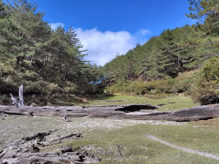 溜熊谷經典角度。