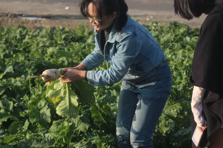 親自從土裡拔出蘿蔔，最能感受到生鮮蔬菜豐美的土膏風味