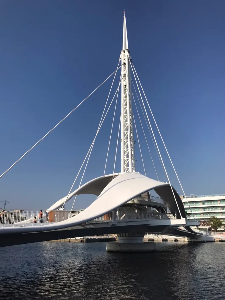 待移動結束可走上橋的高處看風景