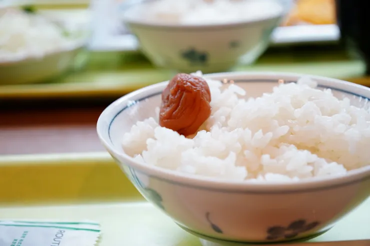 白飯就想放一顆梅子點綴