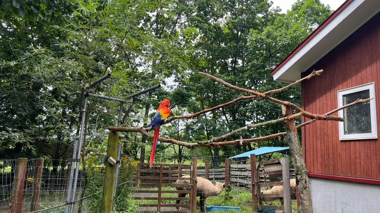 有種來到熱帶之感。