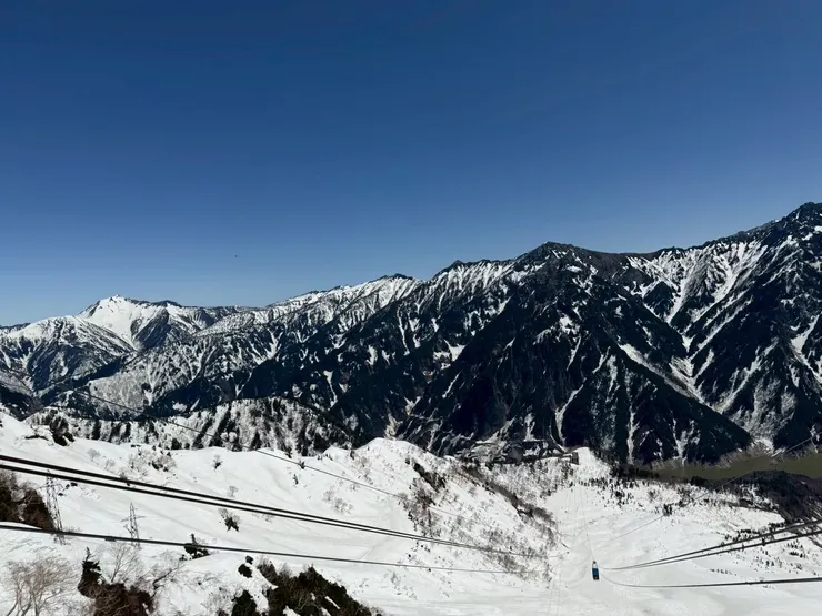 可惜只停留一下下就要趕纜車了