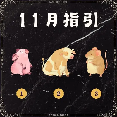 11月指引 #大眾占卜
