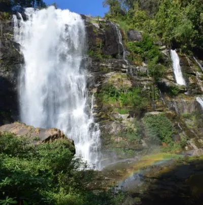 克萊兒的生活紀錄