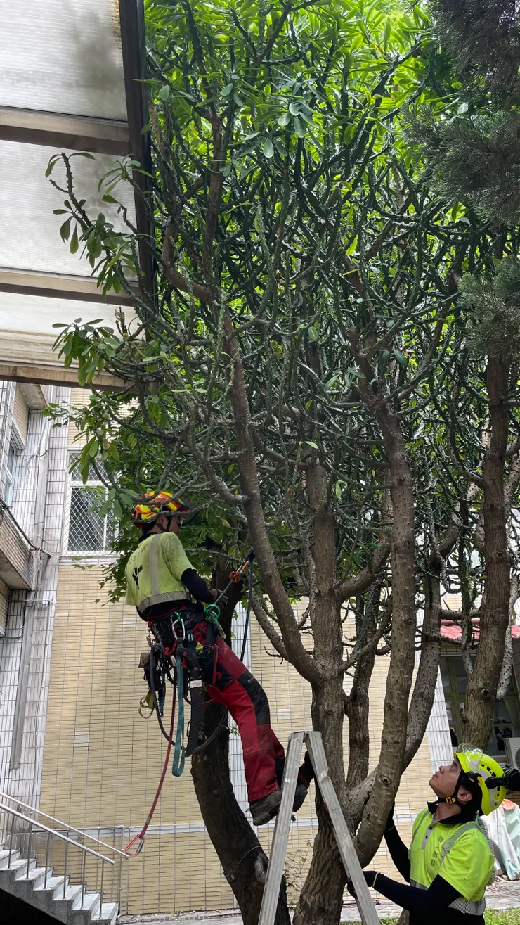 攀金篆應該是了不起的成就