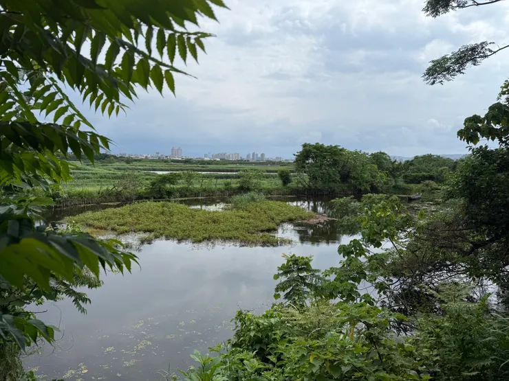 2026/05/03 小湖