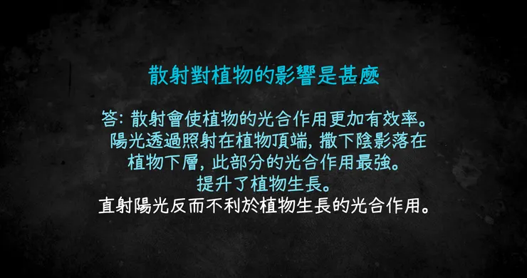 瑞利散射對植物的影響
