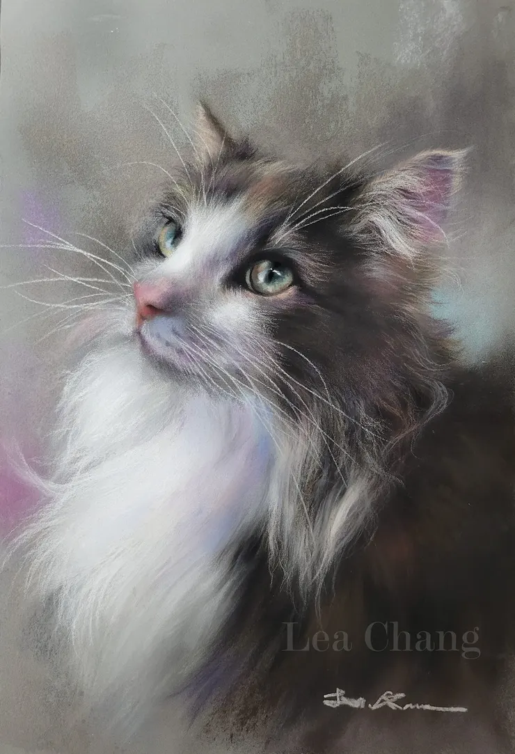 我的罐罐在哪裡？ (媒材:粉彩)