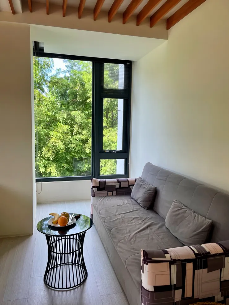 房間內小憩區,也是綠意盎然