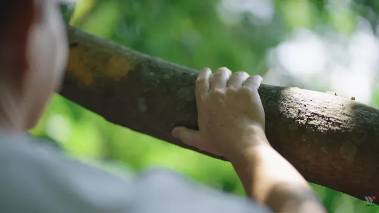 楊錦聰《心的凝望》MV截圖