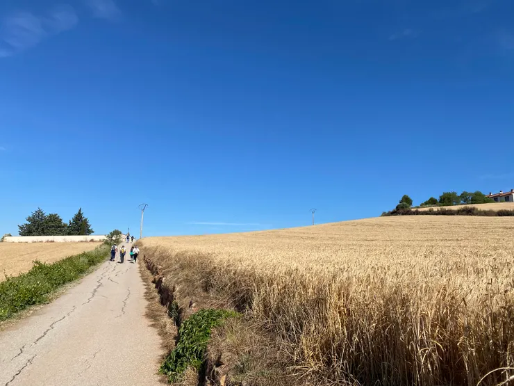 沿路一望無際的空曠與沒有遮陰